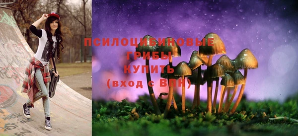 мяу мяу мука Алексин
