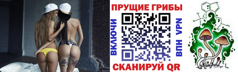 цены наркотик  Суворов  Псилоцибиновые грибы MAGIC MUSHROOMS 